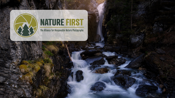 Nature First: Being a Responsible Photographer