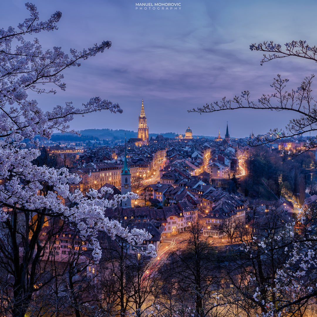 Online Kurs Bildbearbeitung - Kirschblüten und Altstadt Bern - Manuel Mohorovic Photography