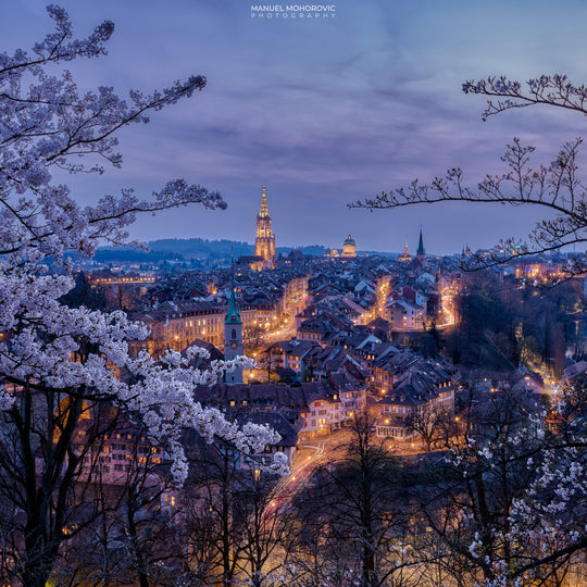 Online Kurs Bildbearbeitung - Kirschblüten und Altstadt Bern - Manuel Mohorovic Photography