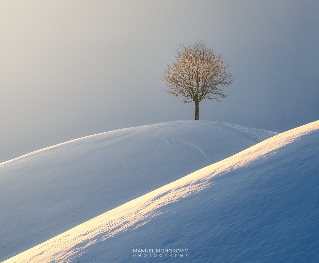 The Hills - Winter Magic Drumlins – Landscape Photography Workshop