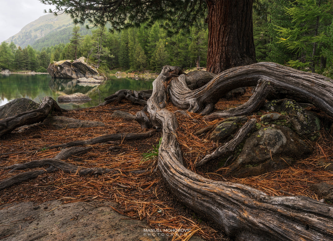 Lago di Saoseo Landscape Photography Workshop