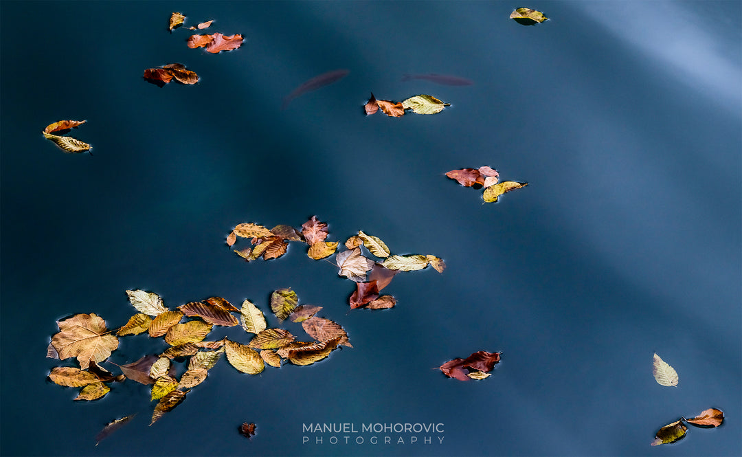 Capture the Beauty - 2024 Plitvice Lakes Photo Workshop Tour
