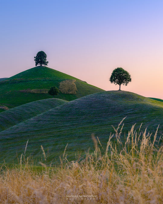 The Hills - Frühlingszauber Drumlins Landschaftsfotografie Workshop