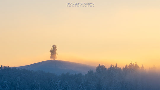 Drumlins Winter Magic – Landschaftsfotografie Workshop