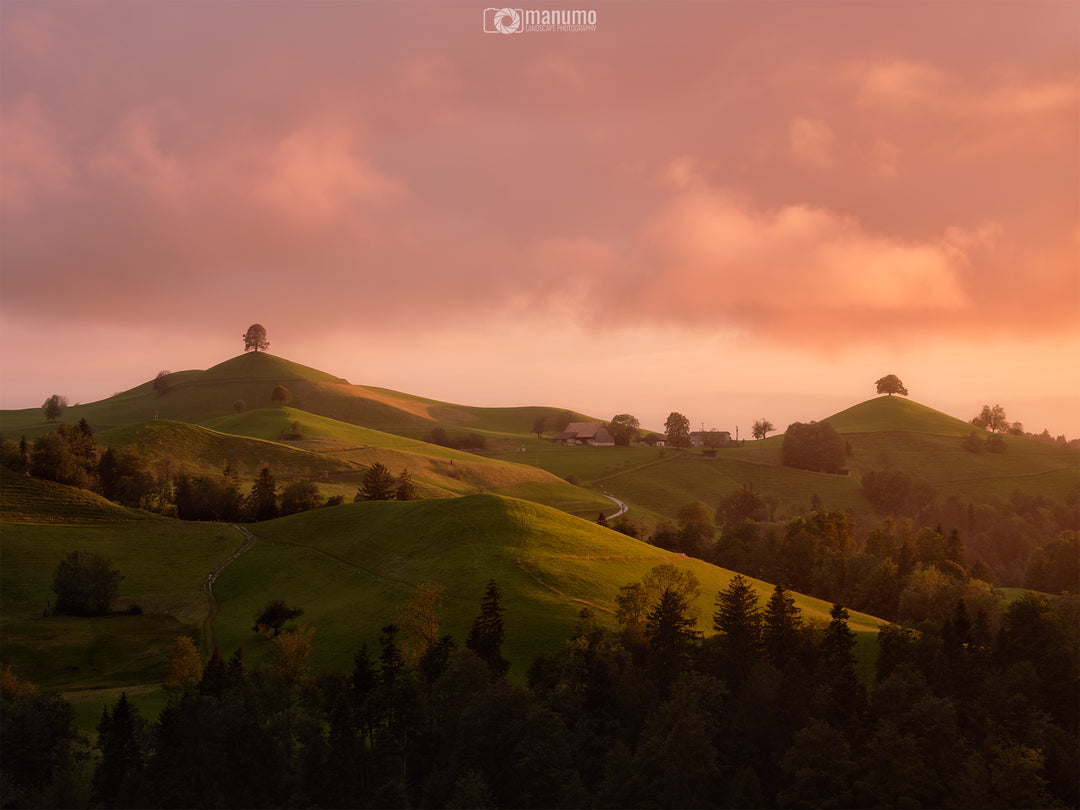 The Hills - Frühlingszauber Drumlins Landschaftsfotografie Workshop