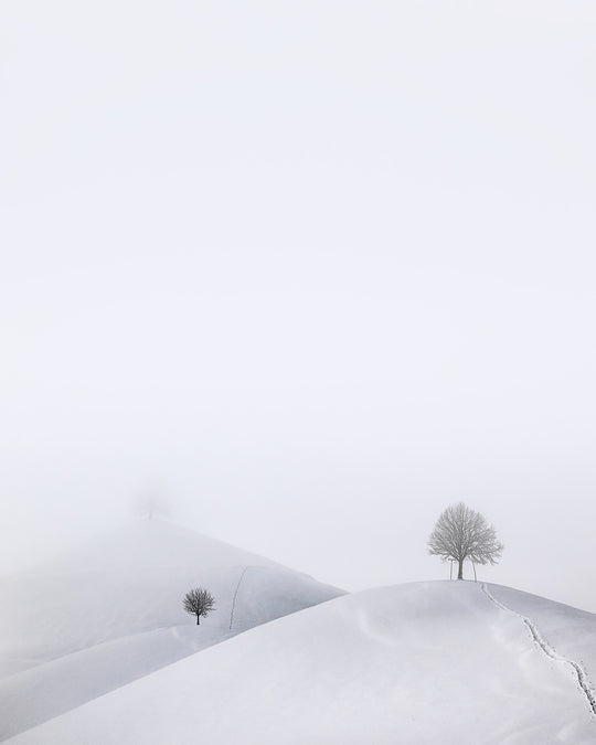 The Hills - Drumlins Winter Magic – Landschaftsfotografie Workshop