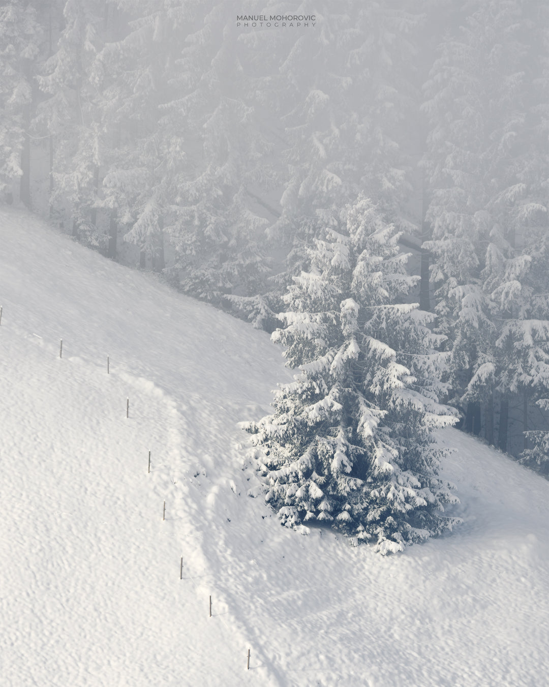 The Hills - Drumlins Winter Magic – Landschaftsfotografie Workshop