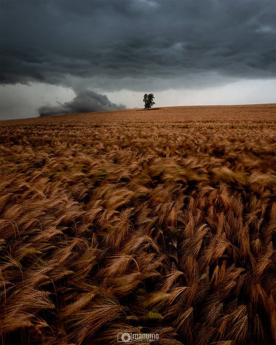 Stunning Weather for Landscape Photography Workshop | manumo-photography.