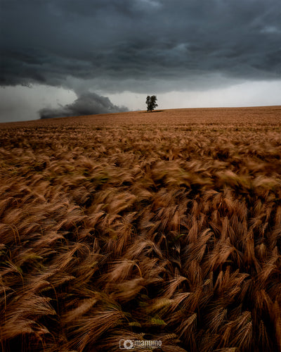 Stunning Weather for Landscape Photography Workshop | manumo-photography.