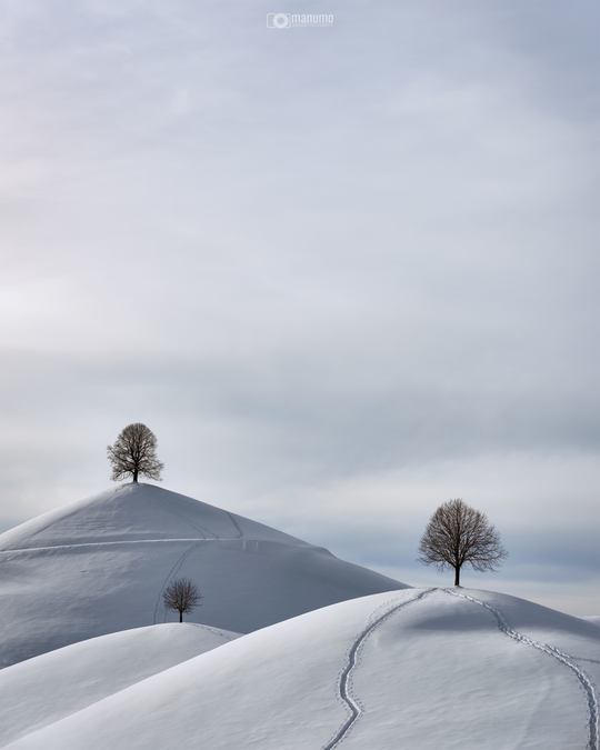 The Hills Winter Magic – Landscape Photography Workshop | manumo-photography.
